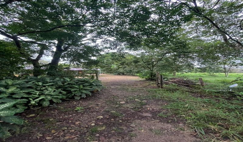 VENDO FINCA EN TAURAMENA